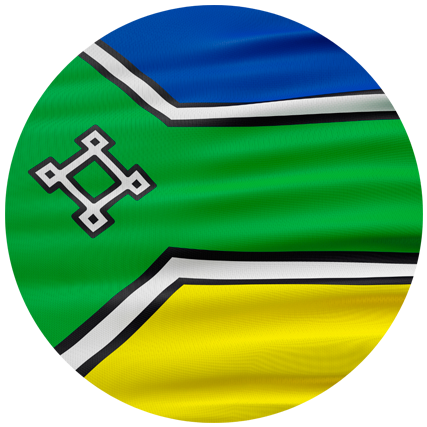 ESTADO SEM COORDENADOR ESTADUAL