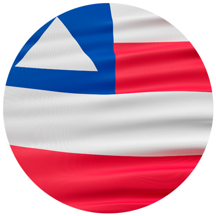 ESTADO SEM COORDENADOR ESTADUAL