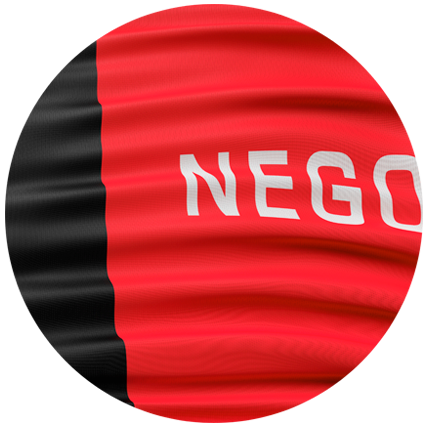 ESTADO SEM COORDENADOR ESTADUAL