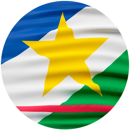 ESTADO SEM COORDENADOR ESTADUAL